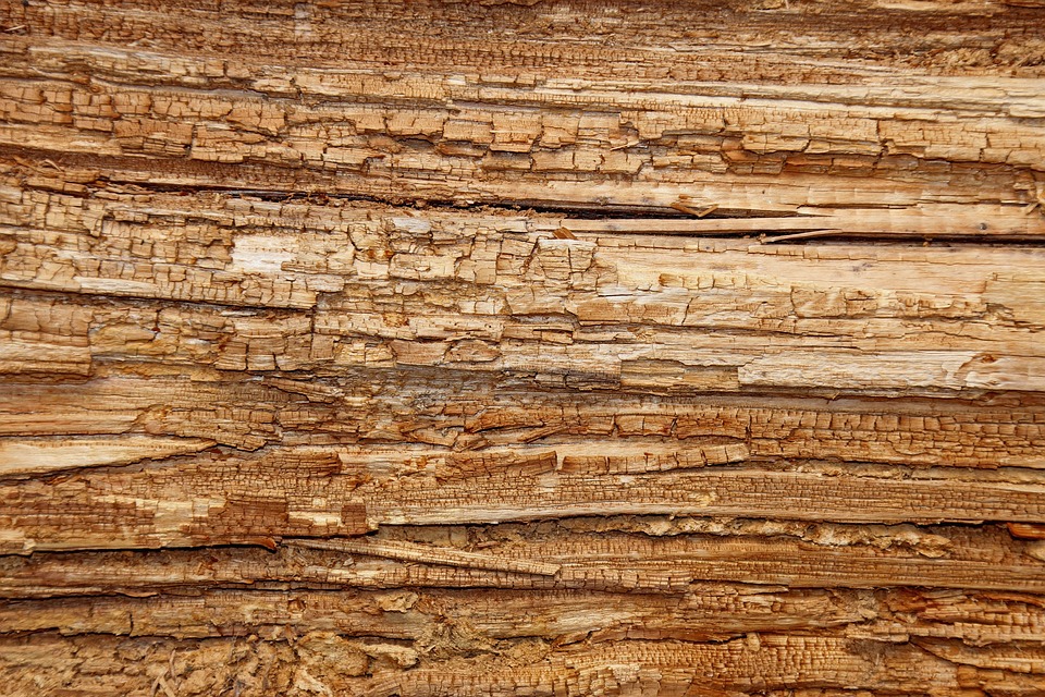 De opkomst van steigerhouten meubels: stijlvol, duurzaam en populair 
